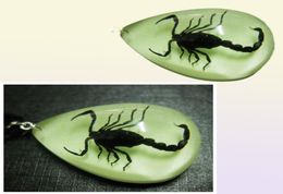 YQTDMY 12 PCS Insect Fashion Scorpion Estilo colgante de colgante luminoso Small Adorn Artículo59417539775151