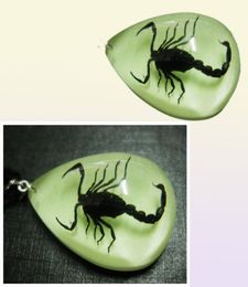 yqtdmy 12 stuks Insect Fashion schorpioen hanger stijl lichtgevend klein sieren artikel59417536175867