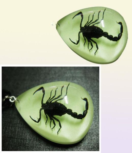 Yqtdmy 12 pièces pendentif scorpion insecte mode style lumineux petite décoration article59417536175867