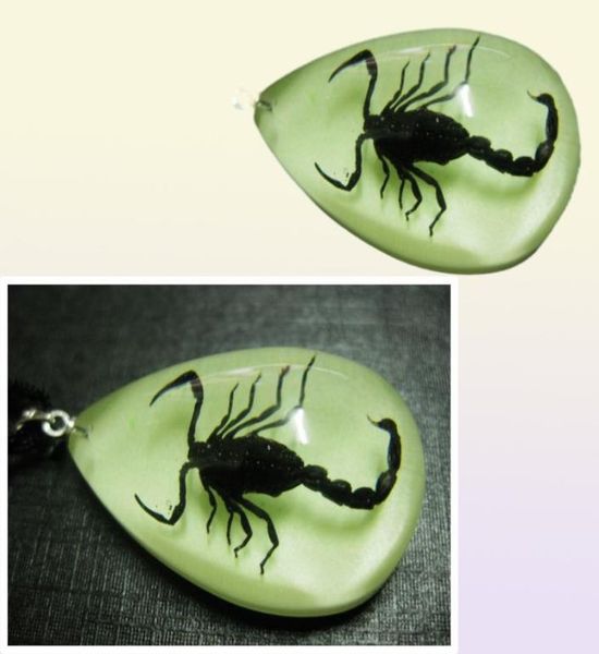 Yqtdmy 12 pièces pendentif scorpion insecte mode style lumineux petite décoration article59417539776648