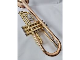 YTR 3325 Boquilla para trompeta Instrumento musical Estuche rígido GAKKI