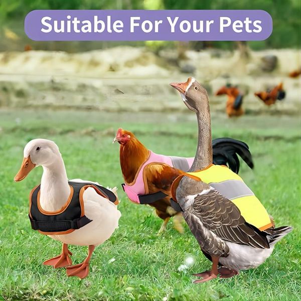 YUEXUAN Chaleco de pollo de diseño, ropa para mascotas, chaleco reflectante para mascotas, delantal ajustable para silla de gallina, soporte de protección, chaleco de seguridad para perros para pollo y pato