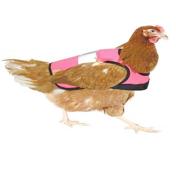 YUEXUAN Gilet de Poulet de Designer Vêtements pour Animaux de Compagnie Gilet d'oie de Canard Harnais de Poulet réglable étanche à l'eau Poule, Tablier de Selle de Poule Support de Protection de Plumes de Poulet