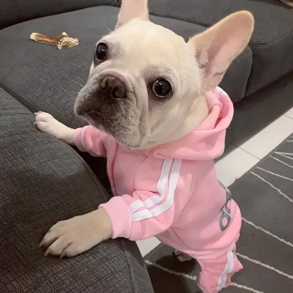 YUEXUAN Ropa para Perros de diseño Adidog Ropa para Mascotas Chihuahua Bulldog francés Ropa cálida para Perros de Invierno Chaqueta para Perros de Cuatro Patas Abrigo Ropa para Cachorros para Perros pequeños