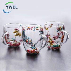 YWDL 1/2 pièces remplissages fleurs sèches Double paroi tasse en verre avec poignée résistant à la chaleur thé tasses à café expresso lait tasse cadeau 231228