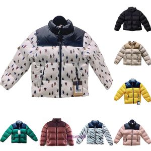 Z3dz Down Parkas Enfants Designer Vêtements Veste d'hiver Enfants À Capuchon Broderie Nord Chaud Parka Manteau Visage Puffer Lettre Imprimer Outwear Impression Vestes T8v4