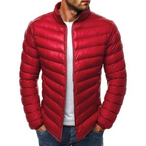 Zogaa 2019 Causale Solid Rits Parka's Mannen Jas Winterstandaard Neck Simple Wide-getailleerd Mannen Winterjas Puffer Jacket 10 kleuren